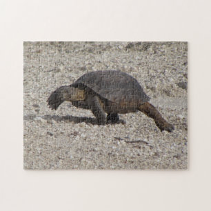 Desert Tortoise Jigsaw Puzzle