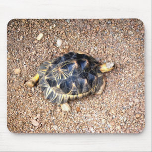 desert tortoise mouse pad