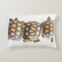 Desert Tortoise / Turtle Pillow