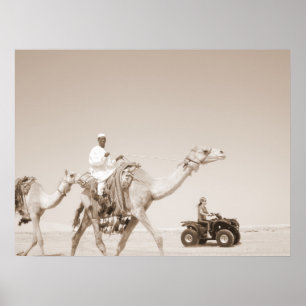 desert  transportation poster