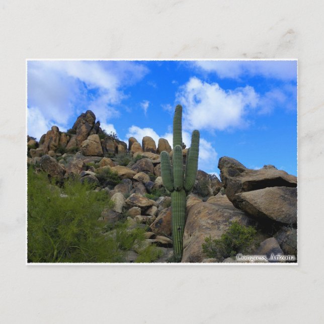 Desert Treasures Postcard (Front)