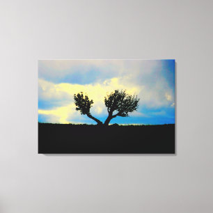 desert trees in arizona wrapped canvas