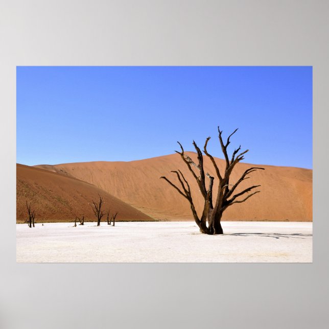 Desert Trees Poster (Front)