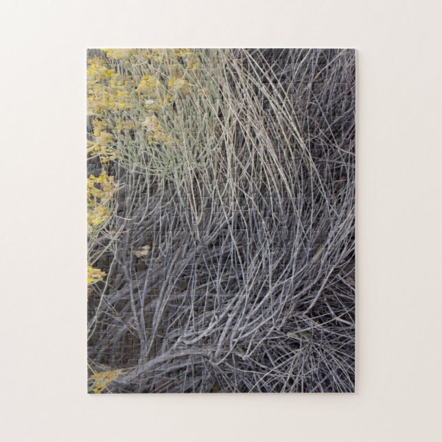 Desert Tumbleweed Puzzle (Vertical)