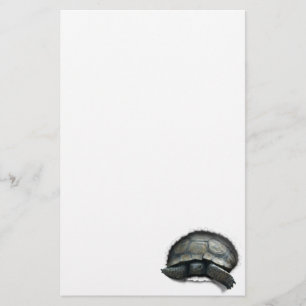 Desert Turtle Coming Out Stationery