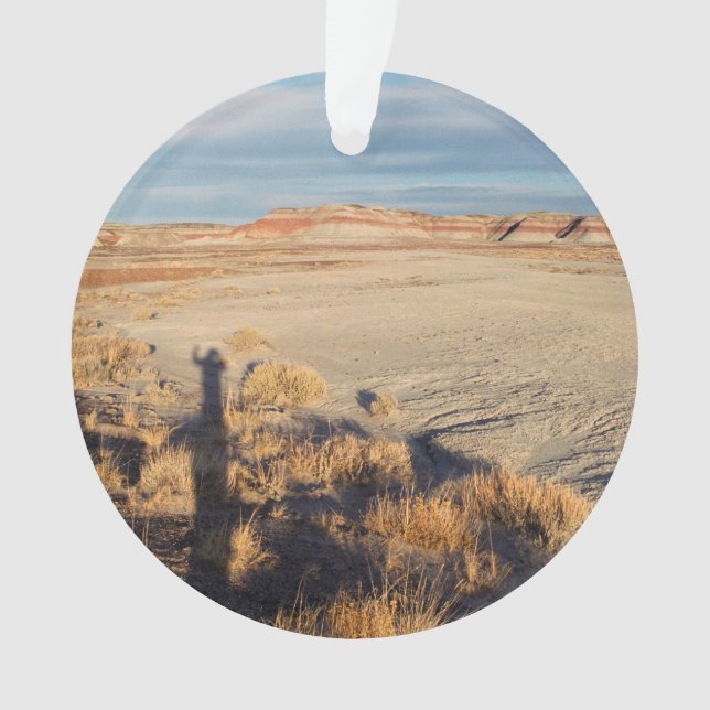 Desert Wave: Petrified Forest National Park Ornament (Front)