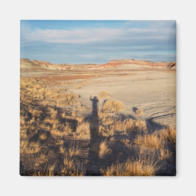Desert Wave: Petrified Forest National Park Photo Magnet (Front)