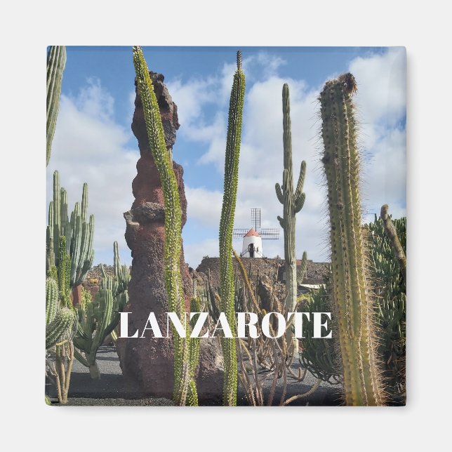 “Desert Windmill and Cactus” Magnet (Front)