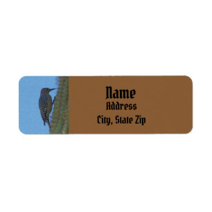 Desert Woodpecker Photo Saguaro Cactus Adresse
