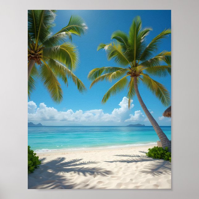 Deserted American beach Poster (Front)