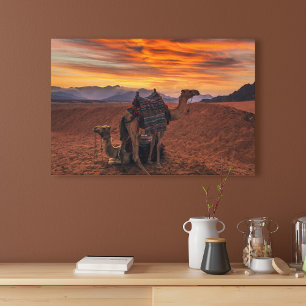 Deserts Bactrian Camel Egypt Sand Dune Canvas Print