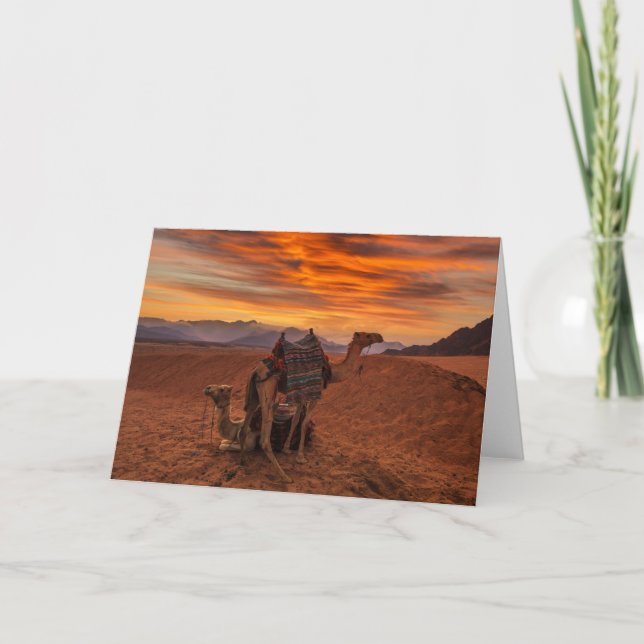 Deserts | Bactrian Camel Egypt Sand Dune Card (Front)