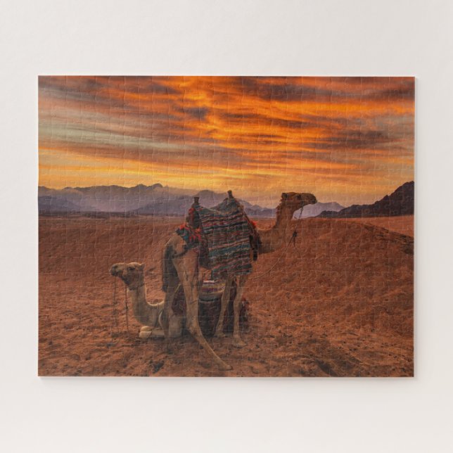 Deserts | Bactrian Camel Egypt Sand Dune Jigsaw Puzzle (Horizontal)