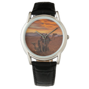 Deserts Bactrian Camel Egypt Sand Dune Watch