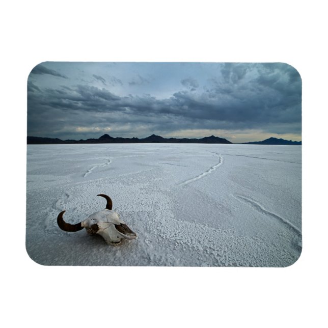 Deserts | Bonneville Salt Flats Utah Magnet (Horizontal)
