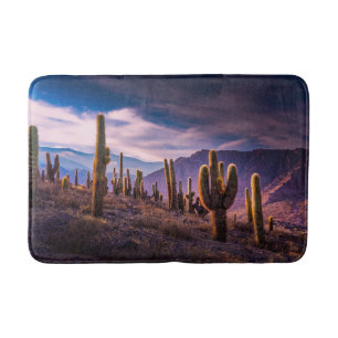 Deserts   Cactus Landscape Argentina Bath Mat