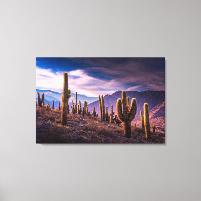 Deserts | Cactus Landscape Argentina Canvas Print (Front)