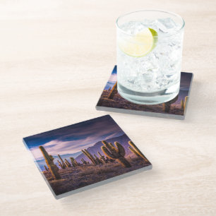 Deserts Cactus Landscape Argentina Glass Coaster