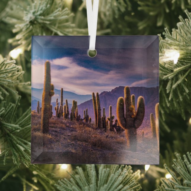 Deserts | Cactus Landscape Argentina Glass Ornament (Insitu)