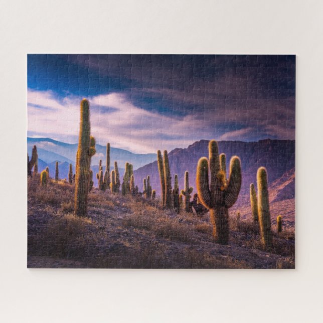 Deserts | Cactus Landscape Argentina Jigsaw Puzzle (Horizontal)