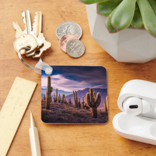 Deserts   Cactus Landscape Argentina Keychain