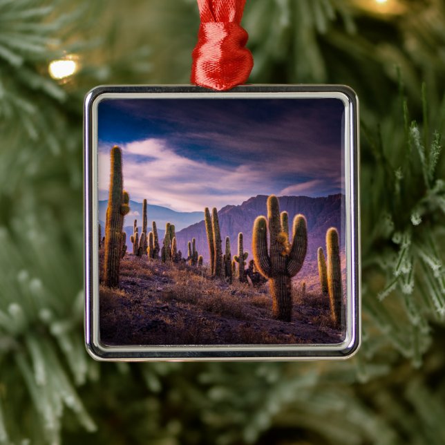 Deserts | Cactus Landscape Argentina Metal Ornament (Tree)