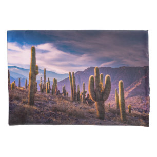 Deserts Cactus Landscape Argentina Pillowcase