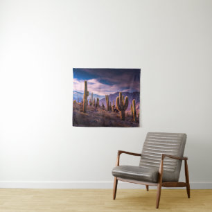 Deserts   Cactus Landscape Argentina Tapestry