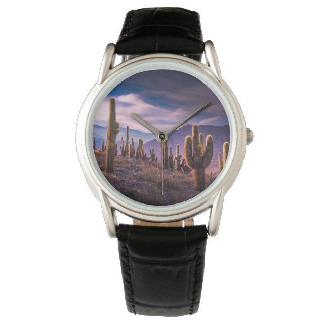 Deserts | Cactus Landscape Argentina Watch (Front)