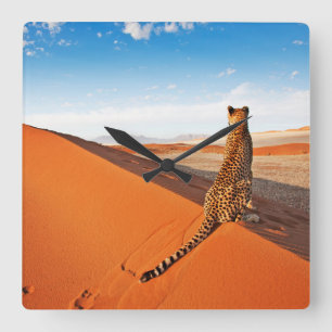 Deserts Cheetah Savannah Desert Square Wall Clock