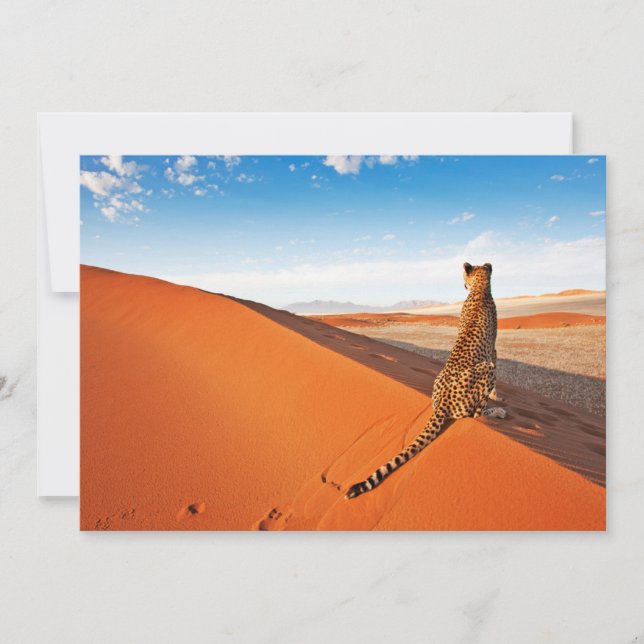 Deserts | Cheetah Savannah Desert Thank You Card (Front)