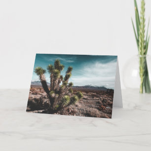 Deserts   Cholla Cactus Card