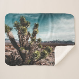 Deserts   Cholla Cactus Sherpa Blanket