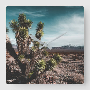 Deserts Cholla Cactus Square Wall Clock