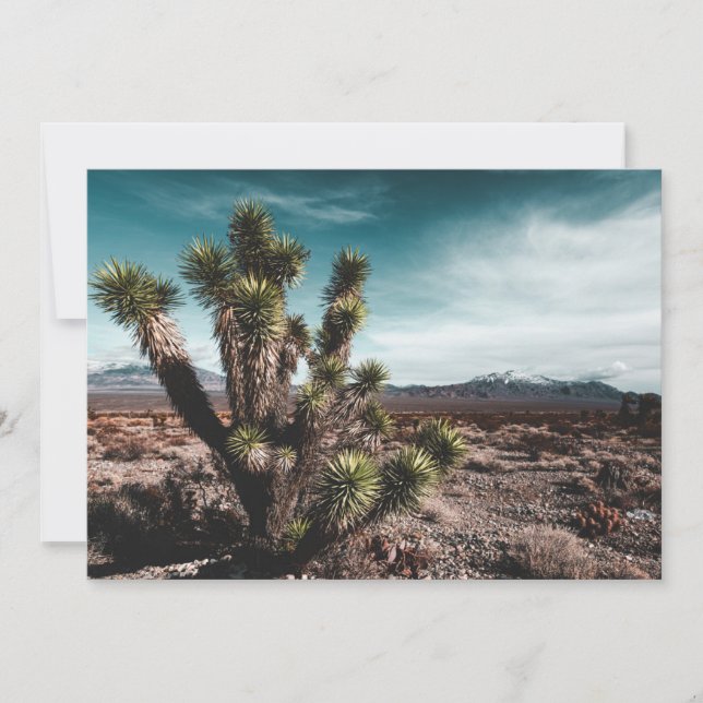 Deserts | Cholla Cactus Thank You Card (Front)