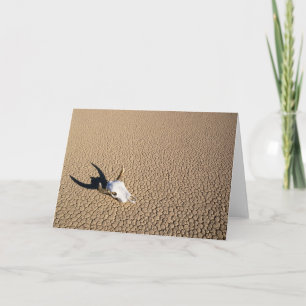 Deserts Cow Skull on the Desert Ground Card