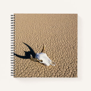 Deserts Cow Skull on the Desert Ground Notebook