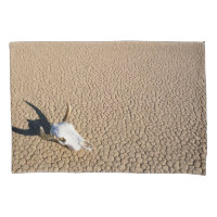 Deserts | Cow Skull on the Desert Ground