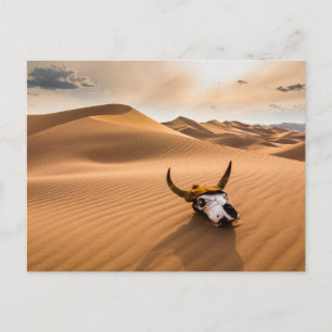 Deserts   Cow Skull Rippled Sand Dunes Postcard