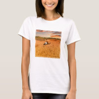 Deserts | Desert with Cow Skull