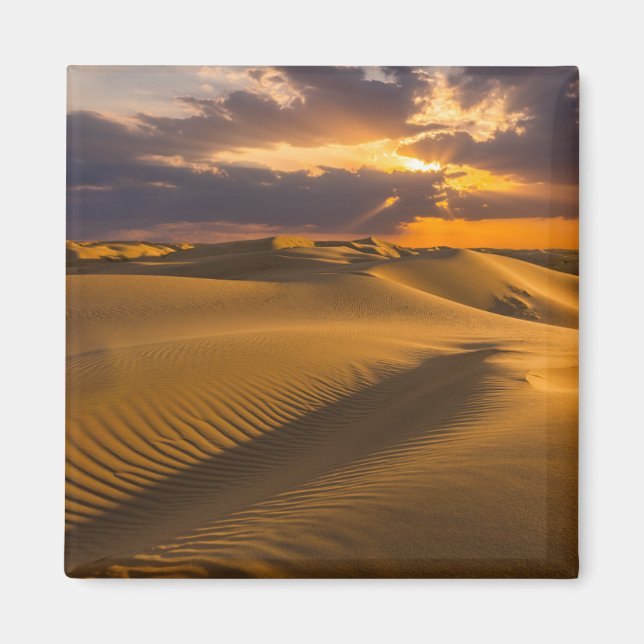 Deserts | Landscape of Sand Dunes Magnet (Front)