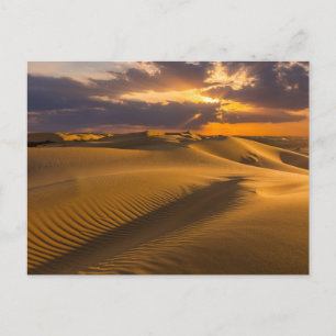 Deserts   Landscape of Sand Dunes Postcard