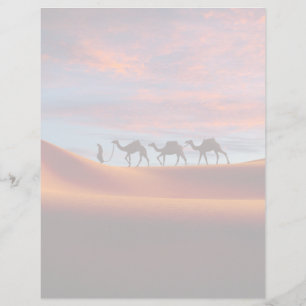 Deserts Man & Camels in the Sand Dunes