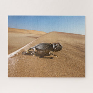 Deserts Namaqua Chameleon in Desert Jigsaw Puzzle