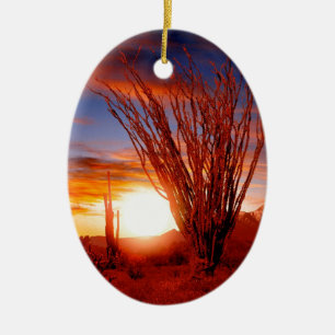Deserts Ocotillo Sonora Arizona Ceramic Ornament