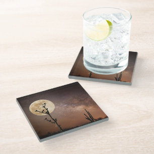 Deserts Saguaro Cactus With Birds in Desert Glass Coaster