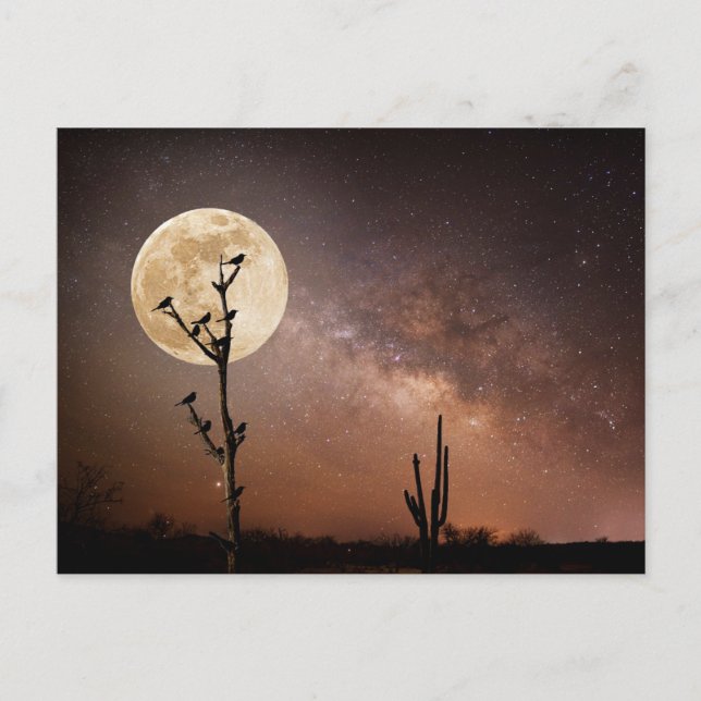 Deserts | Saguaro Cactus With Birds in Desert Postcard (Front)