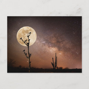 Deserts   Saguaro Cactus With Birds in Desert Postcard