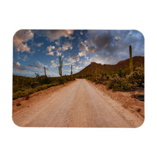 Deserts Saguaro National Park Arizona Magnet
