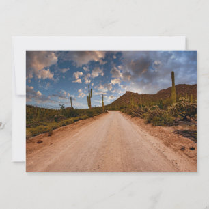 Deserts Saguaro National Park Arizona Thank You Card